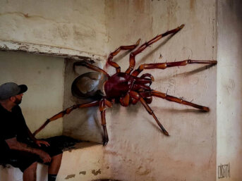 Sergio Odeith, il mago del graffito (anamofico) 3D