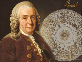 L'orologio floreale di Linneo