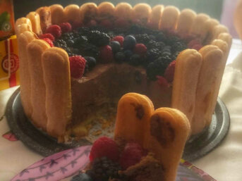 Torta con crema al cioccolato e frutti di bosco