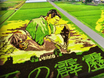 L'Arte Tanbo (Paddy Art), l’arte di disegnare le risaie
