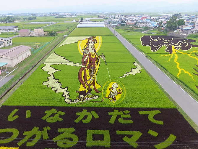 Arte Tanbo o arte della risaia, Paddy Art In Giappone