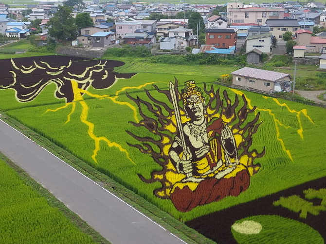Arte Tanbo o arte della risaia, Inakadate, nella prefettura di Aomori Giappone