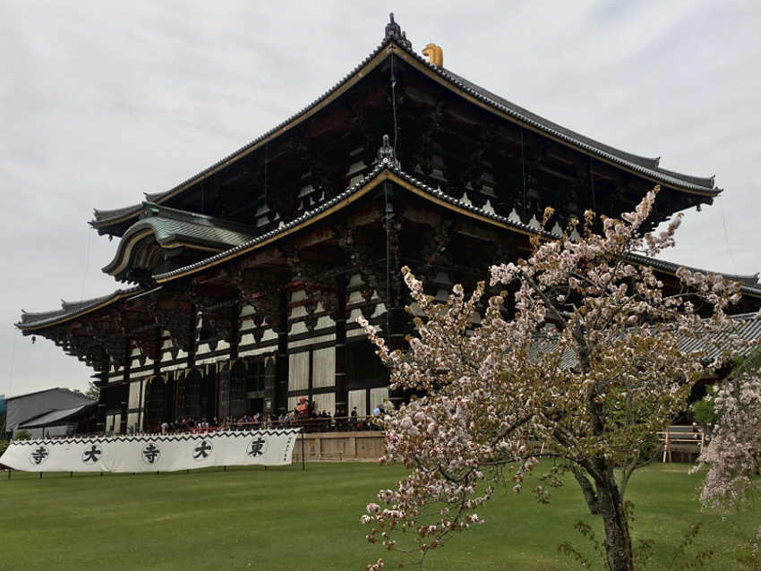 La Grande Sala del Buddha, (tempio Tōdai-ji) l’edificio in legno più grande del mondo