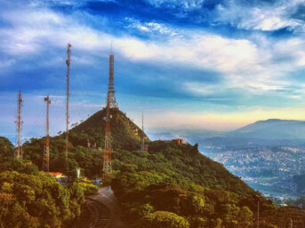 I campi elettromagnetici, il 5G, alberi,uccelli e api