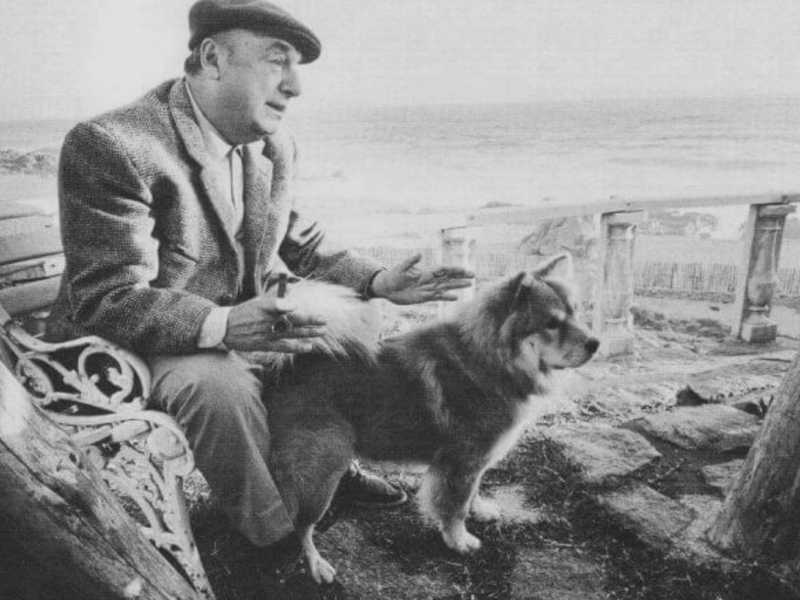 Le poesie sui cani di Neruda e la Ode al gatto