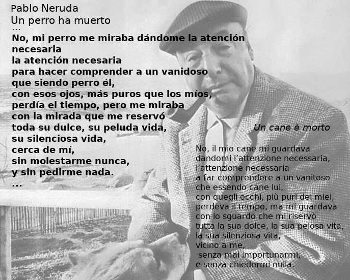 Poesia sui cani di Pablo Neruda: Un cane è morto 