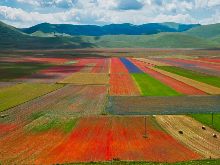 10 bellissime immagini della Fiorita (o Fioritura) di Castelluccio di Norcia