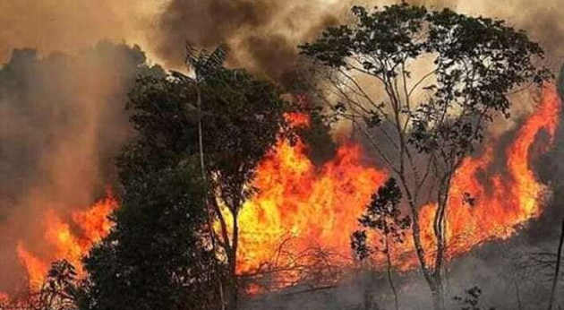 Deforestazione dell’Amazzonia con incendio
