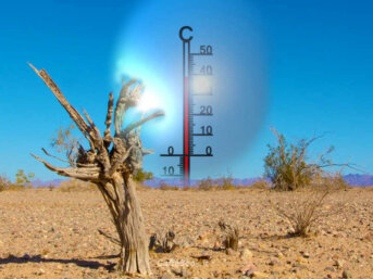 Cambiamenti Climatici: Per gli Scienziati l'Azione deve sostituire l'Impegno Verbale
