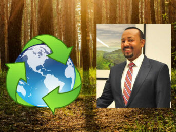 Sostenibilità ecologica