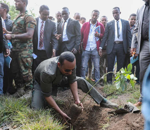 Sostenibilità Ecologica: Abiy Ahmed Ali mentre pianta un albero