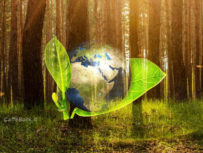 Sostenibilità Ecologica: Greta Thunberg, Abiy Ahmed Ali e Papa Francesco