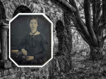 3 poesie di Emily Dickinson
