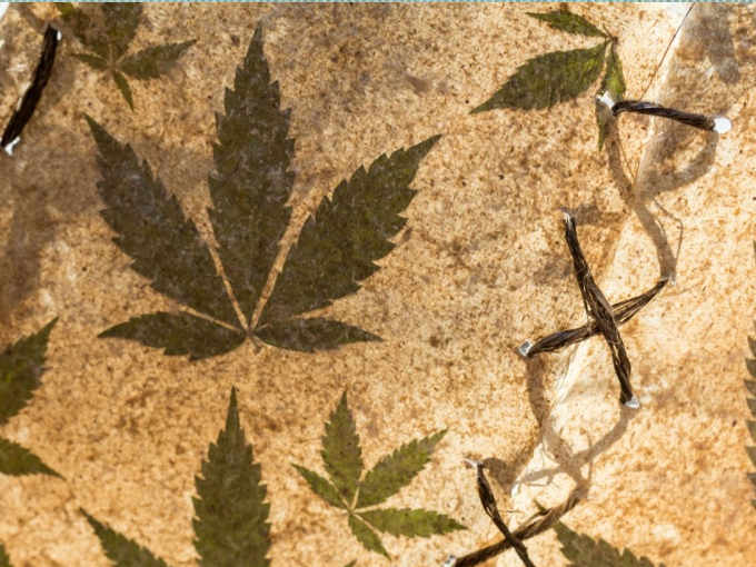 Bonificare con la Canapa: proprietà, carta ottenuta dalla lavorazione della cannabis
