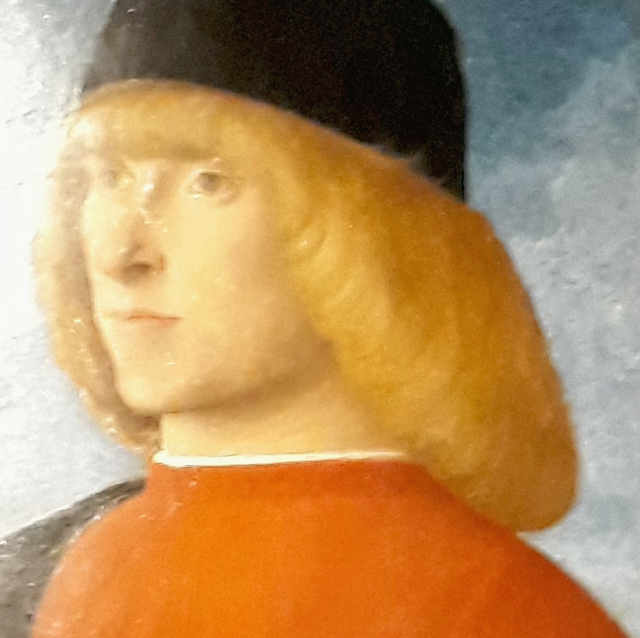 Il ritratto di giovane in visita senatoria di Giovanni Bellini
