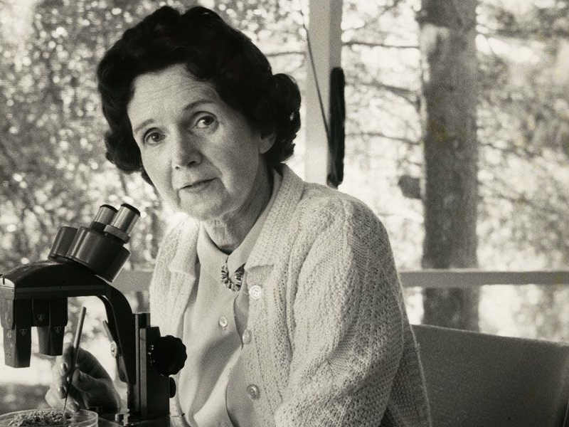 Rachel Carson: una pioniera nella lotta contro i pesticidi