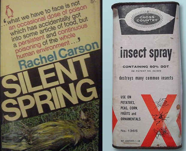 Silent Spring il saggio di Rachel Carson