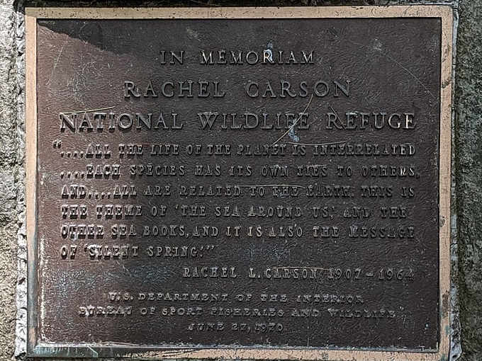 Targa al Rachel Carson National Wildlife Refuge