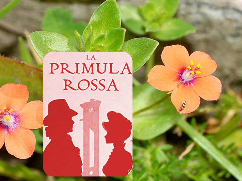 La Mordigallina, La Primula Rossa o Scarlet Pimperne