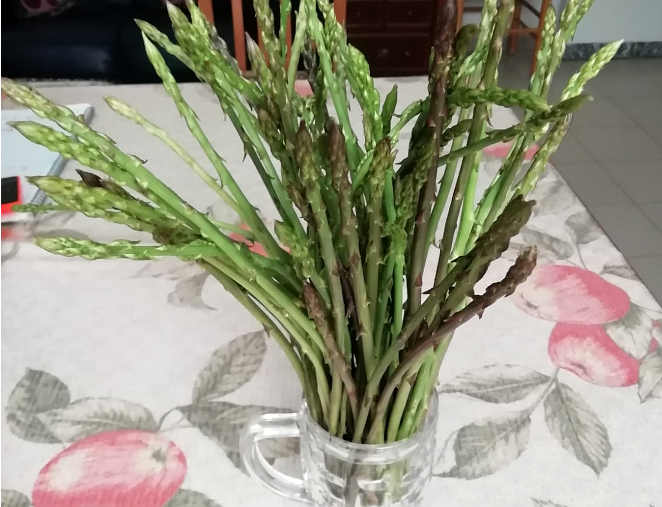 asparagi per ricetta trofie fresche