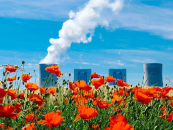Ridurre le emissioni di CO2 passando da un campo di papaveri
