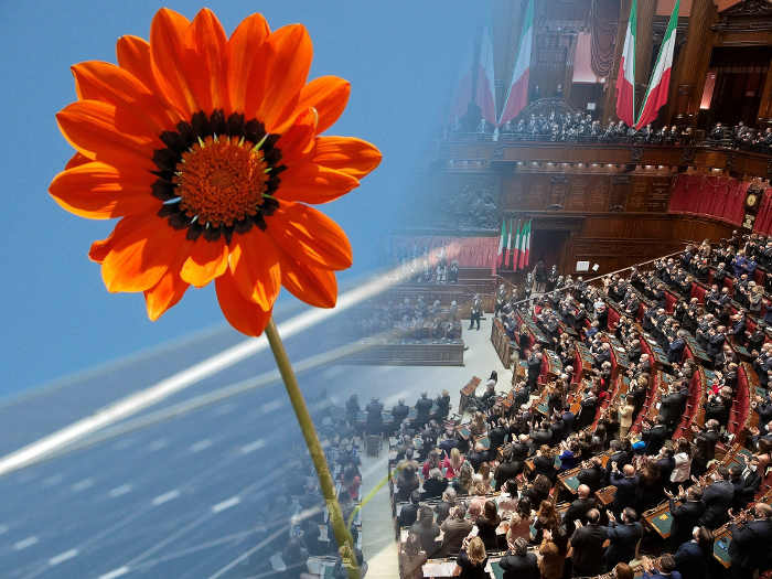 3 Foto La Costituzione Italiana riconosce la tutela dell'ambiente